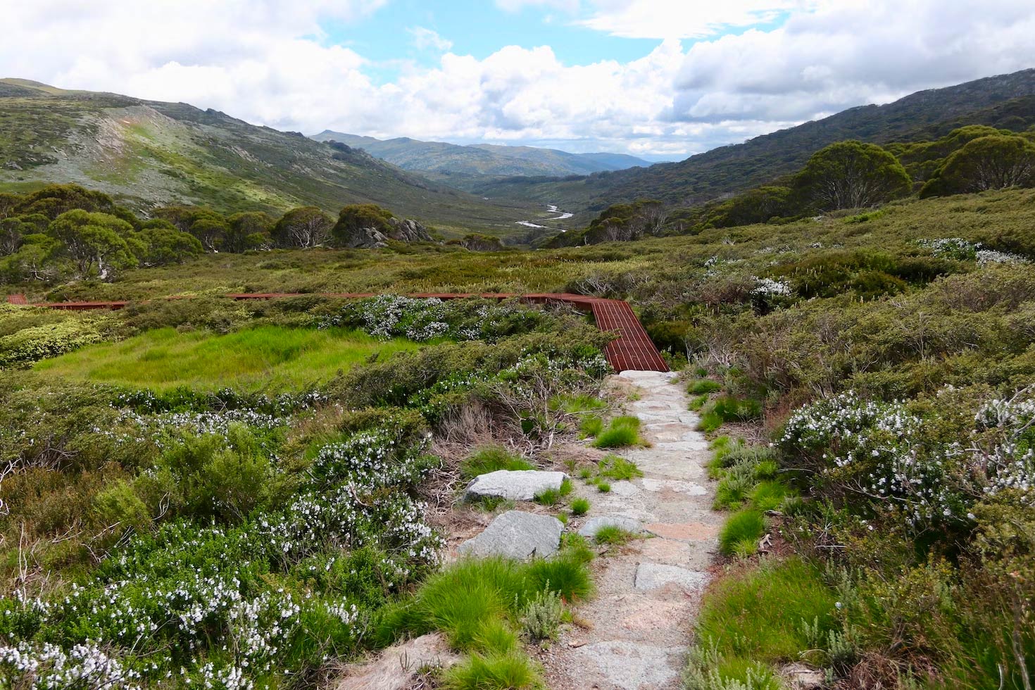 Scaling the Heights: An Expedition Up Mount Kosciuszko